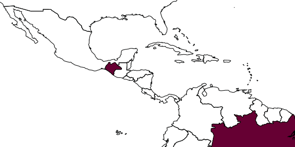 map of Anisepyris dorlasi     Barbosa & Azevedo, 2018